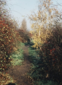 Devonshire Rd, Green Line c1990