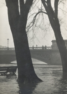 Trent Bridge 1947